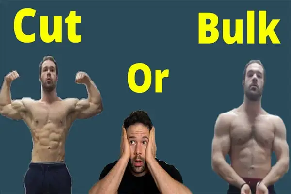 Bulking và cutting là gì? Ưu, nhược điểm và so sánh chi tiết nhất