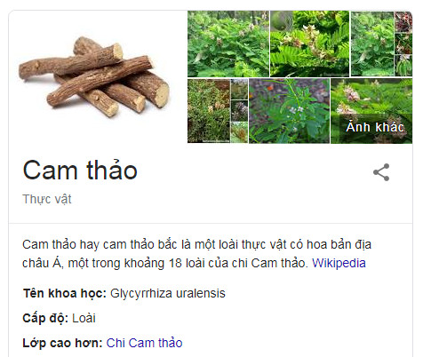 cay-cam-thao