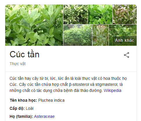 cay-cuc-tan