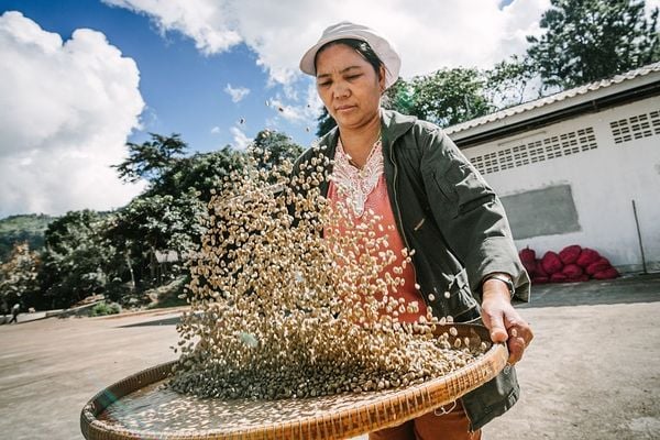 CÁC PHƯƠNG PHÁP PHA CHẾ CÀ PHÊ PHỔ BIẾN