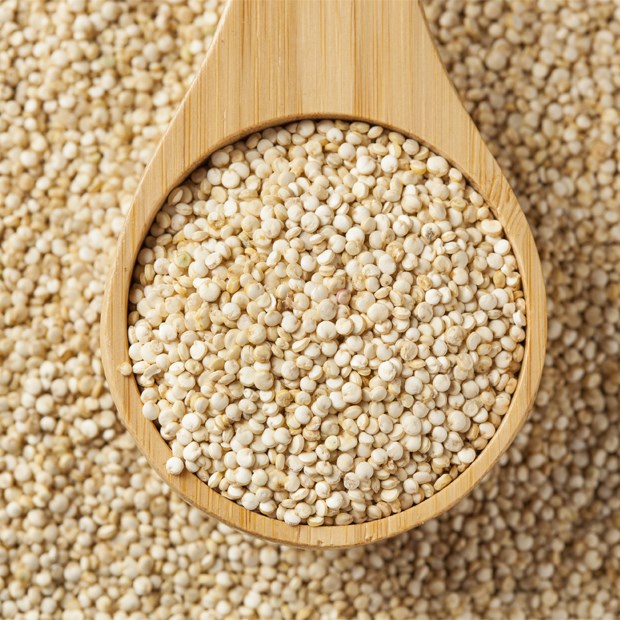 Hạt diêm mạch - Quinoa là gì? Hạt quinoa có tác dụng gì và cách nấu hạt