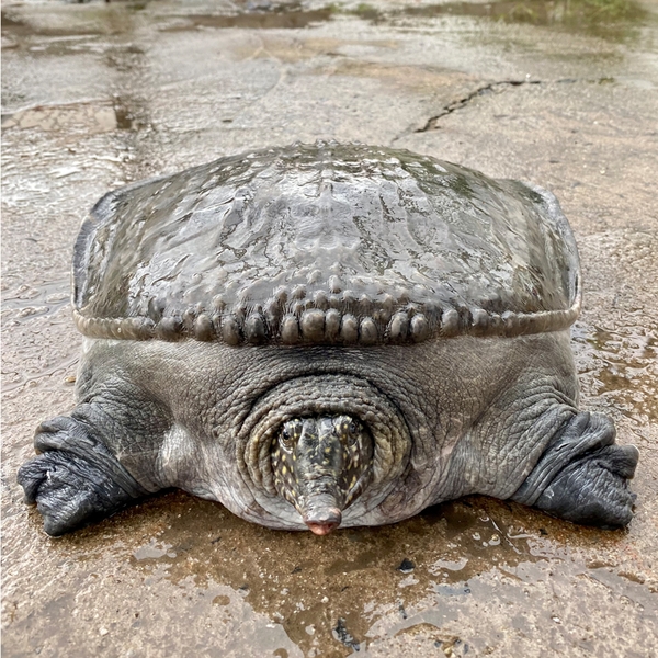 Cua Đinh Hải Nguyên Seafood