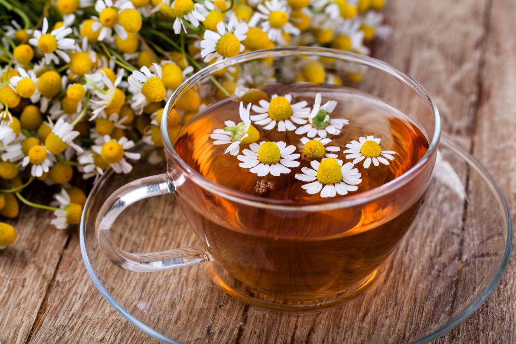 Lợi Ích Của Trà Hoa Cúc (Chamomile) - Thiên Khôi Garden