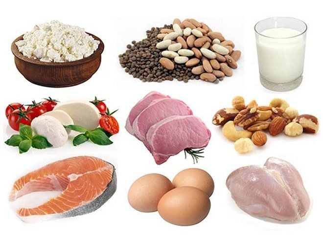 9 chức năng quan trọng của protein đối với cơ thể