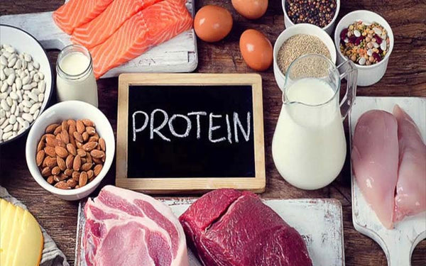 Protein là gì? Chức năng của protein đối với sức khỏe con người– Thế Giới  Whey