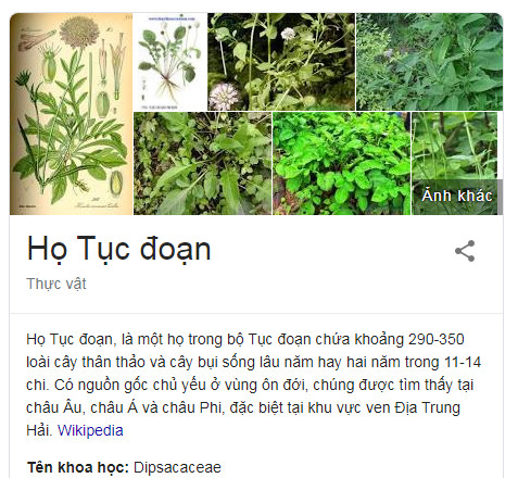 tuc-doan